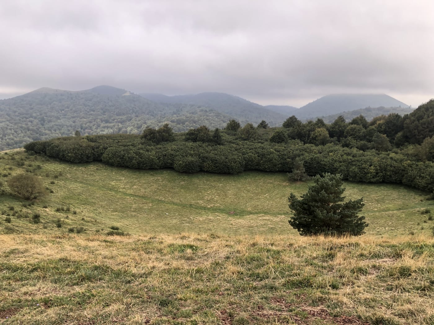 Route du puy de Goules