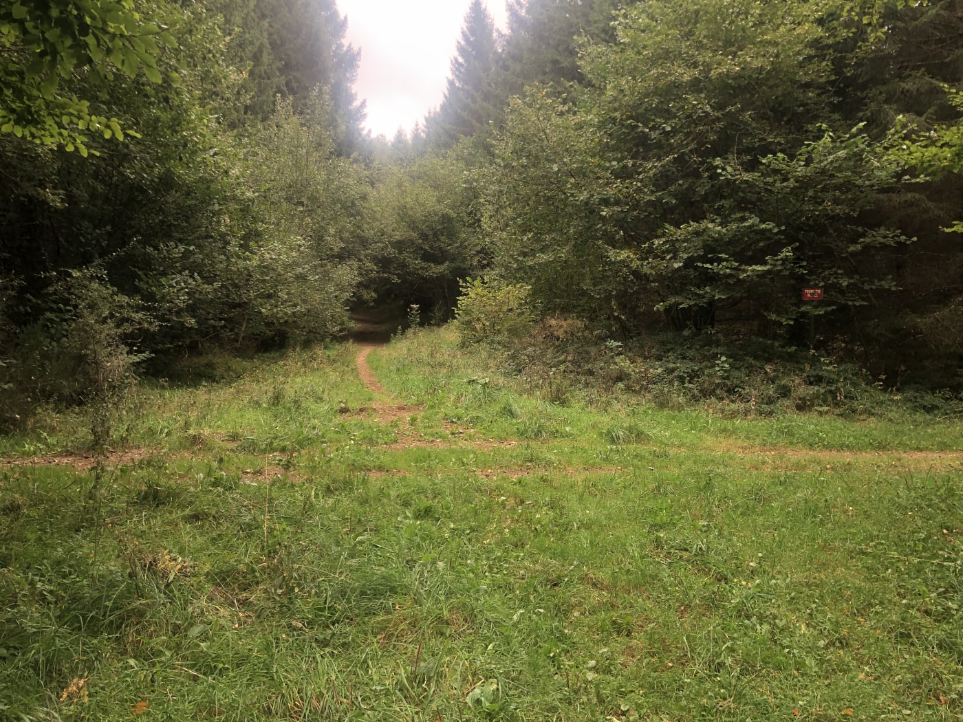 Route du puy de Chaumont