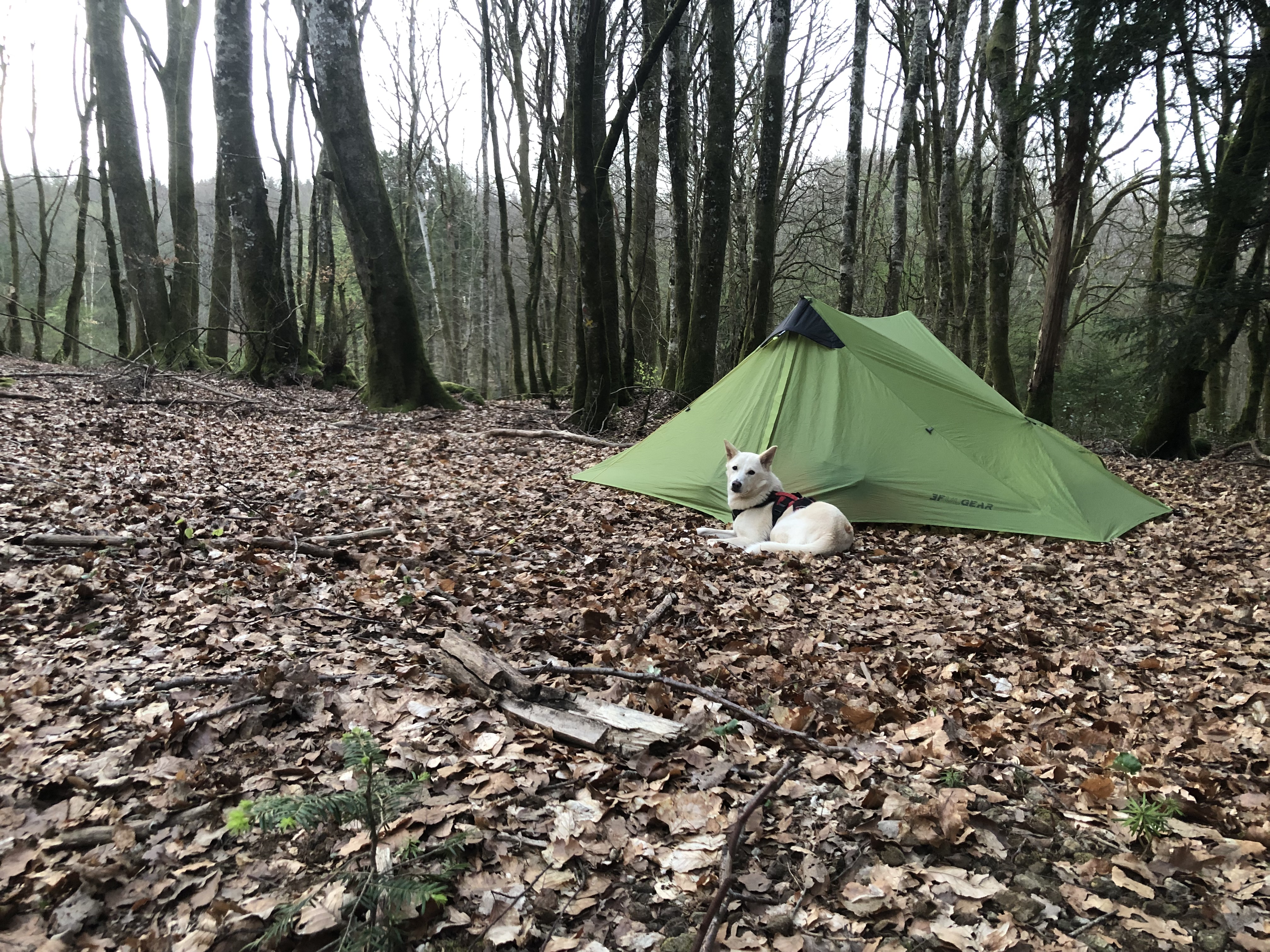 Bivouac