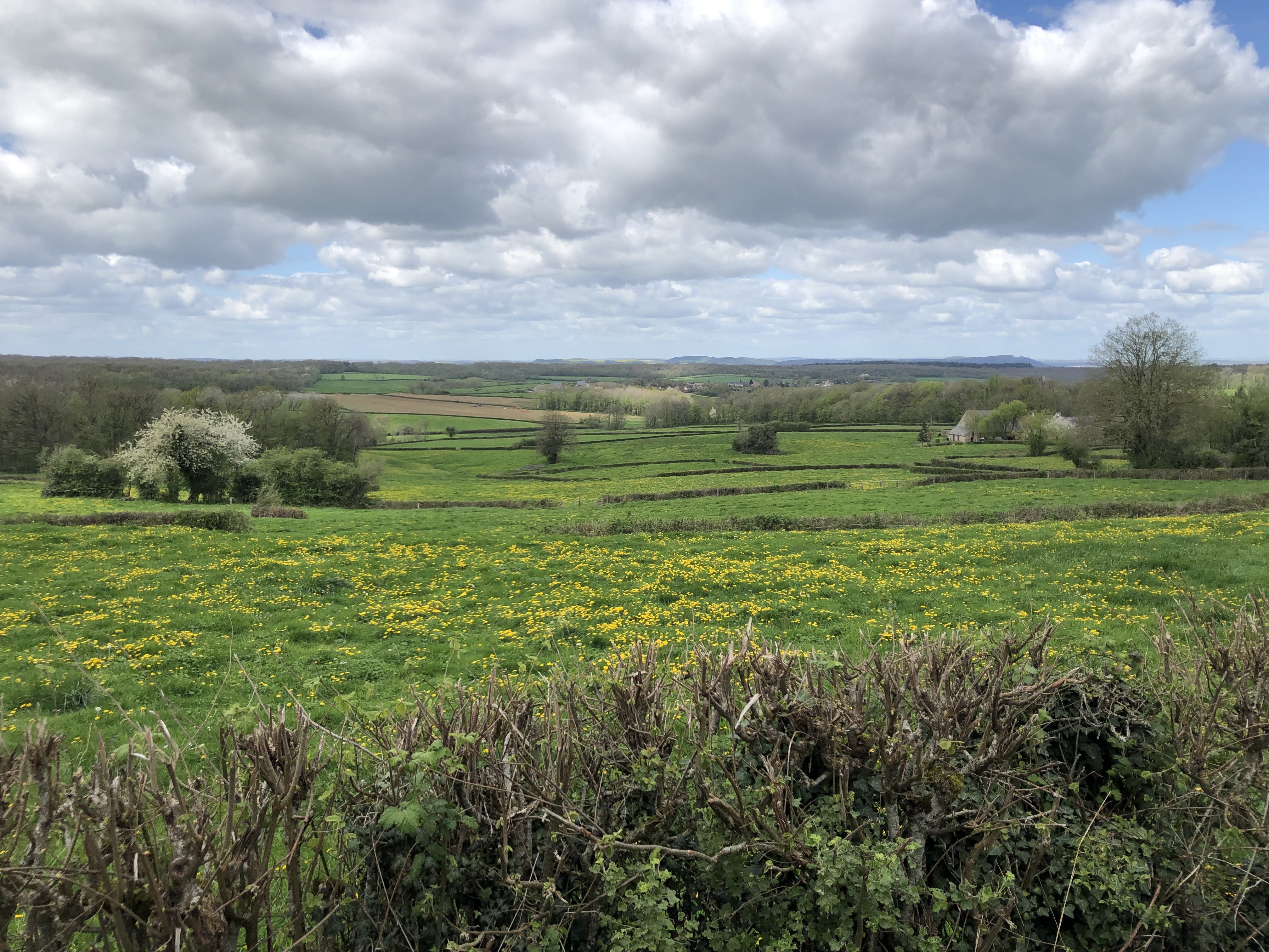Paysage vers Avallon